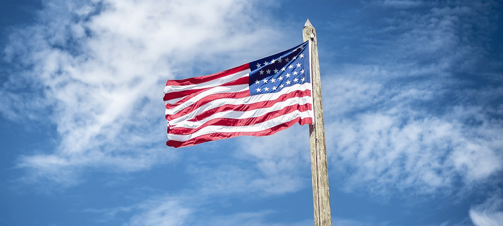 US Elections 2016 american flag